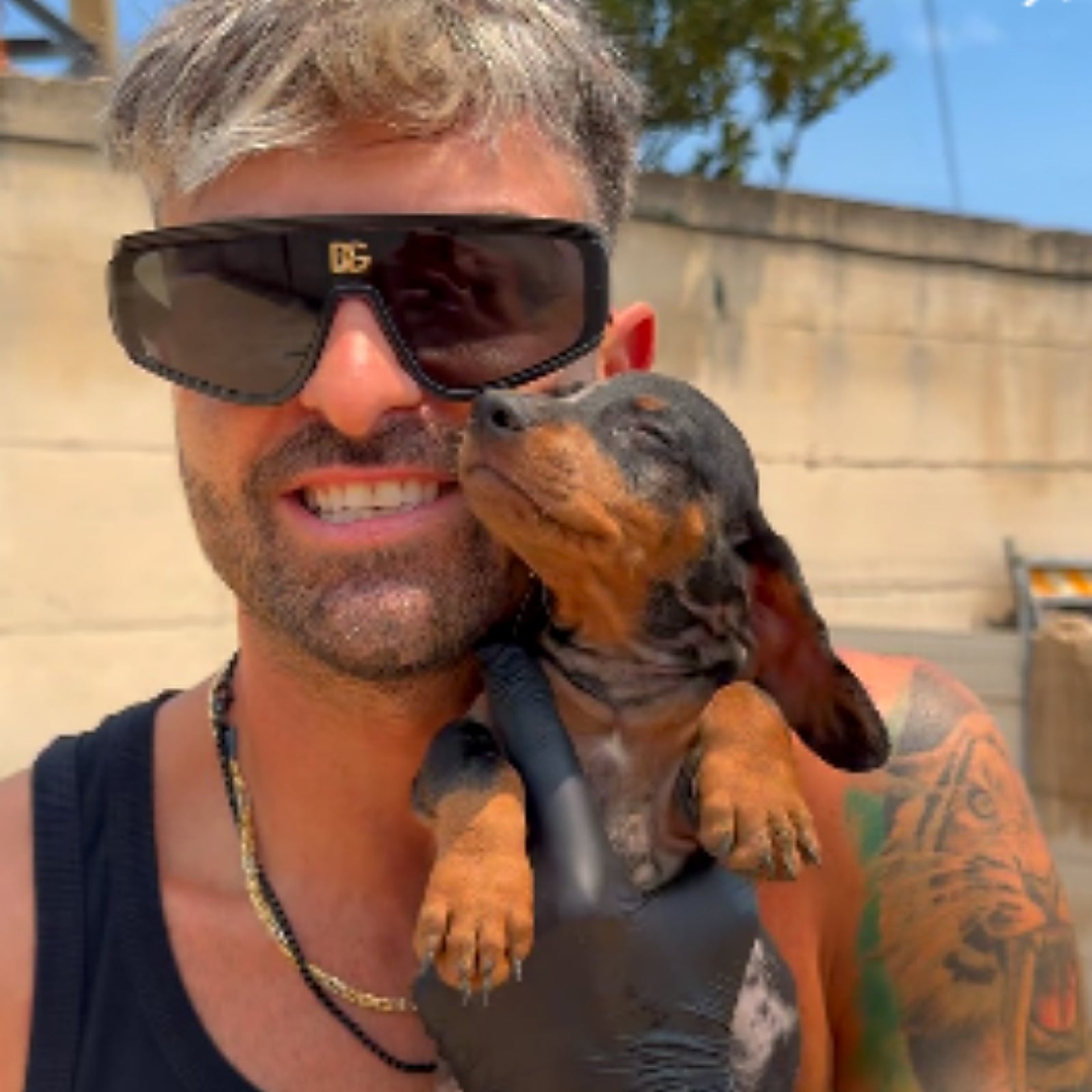 Cucciolo di Bassotto